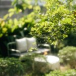 resized_132216