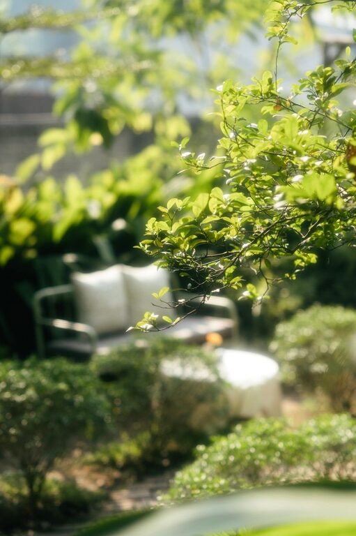 Tips for Creating a Relaxing Outdoor Garden Space